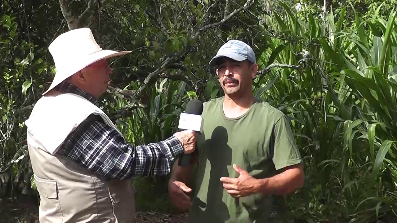 Finca de emprendedores