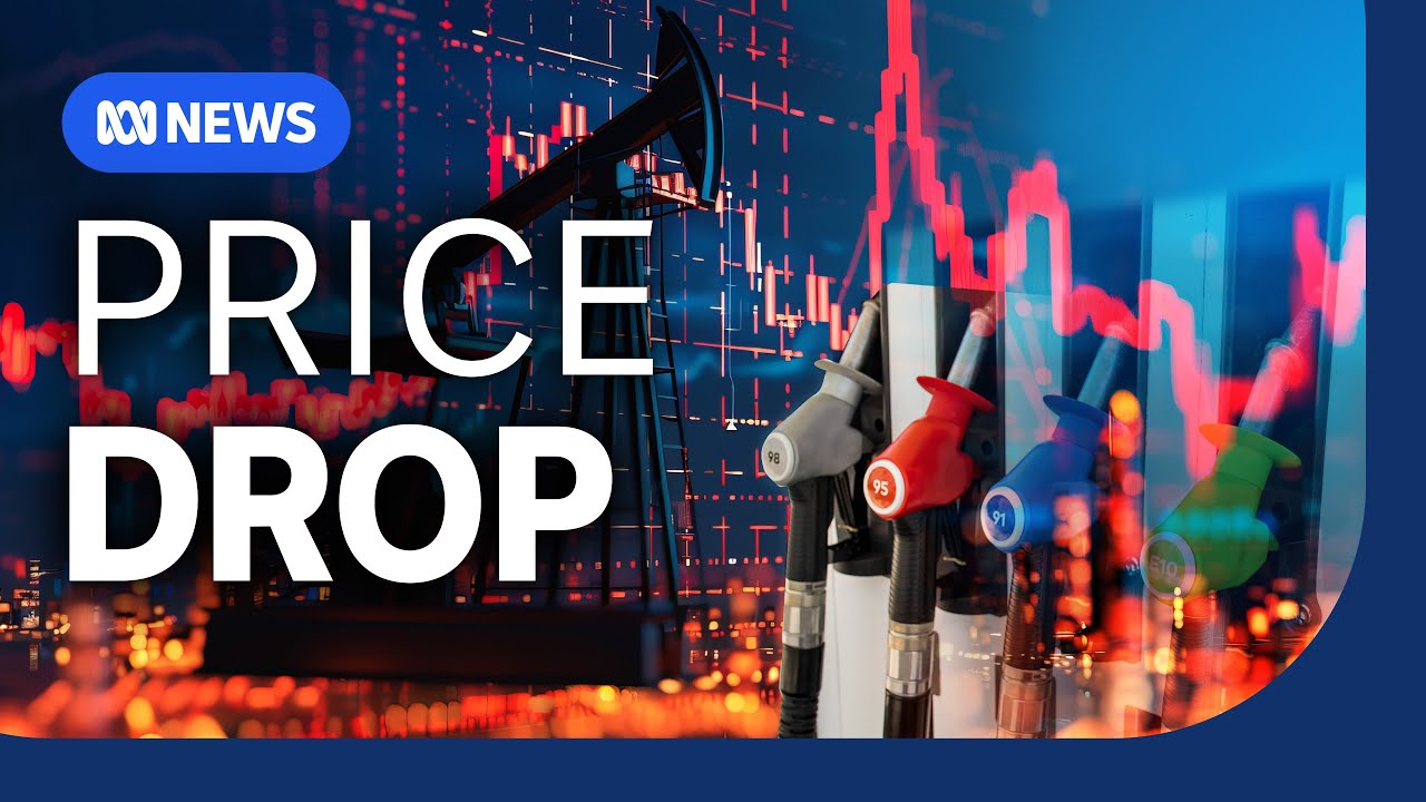 Why fuel prices are expected to fall | The Business | ABC NEWS