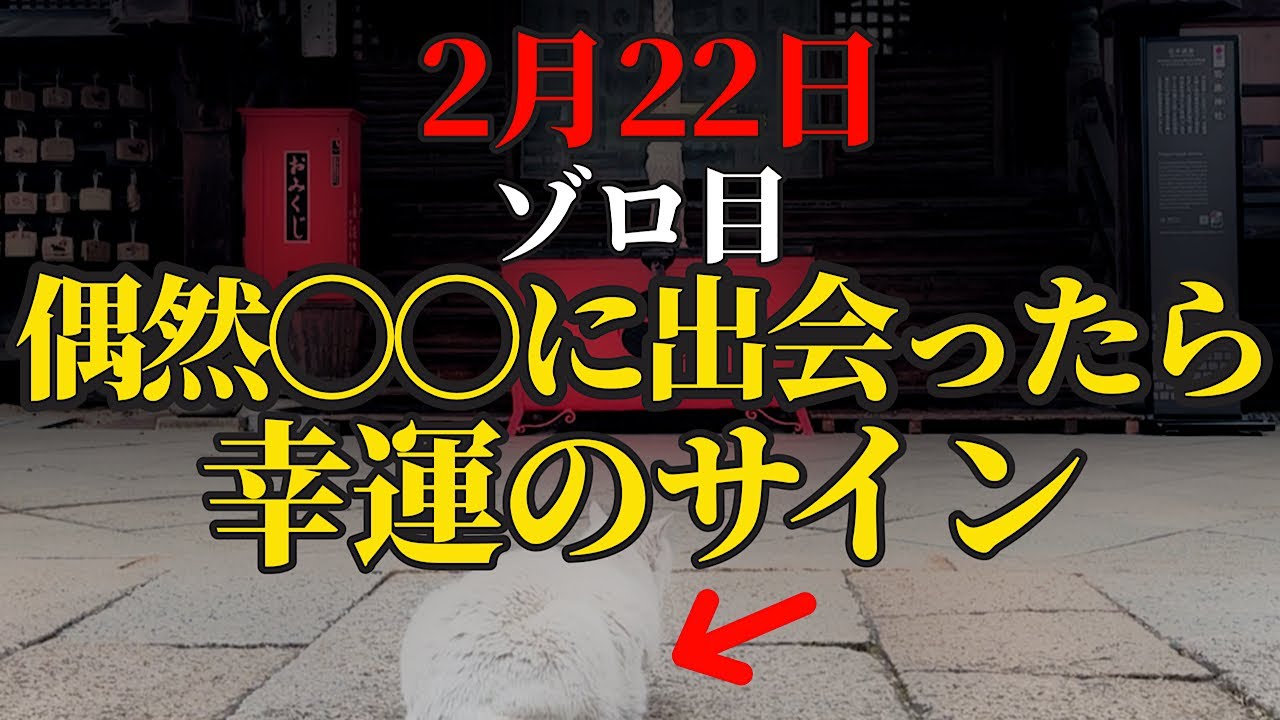 ゾロ目×猫の日 222 数字が示すメッセージ！【羽黒神社】パワースポット