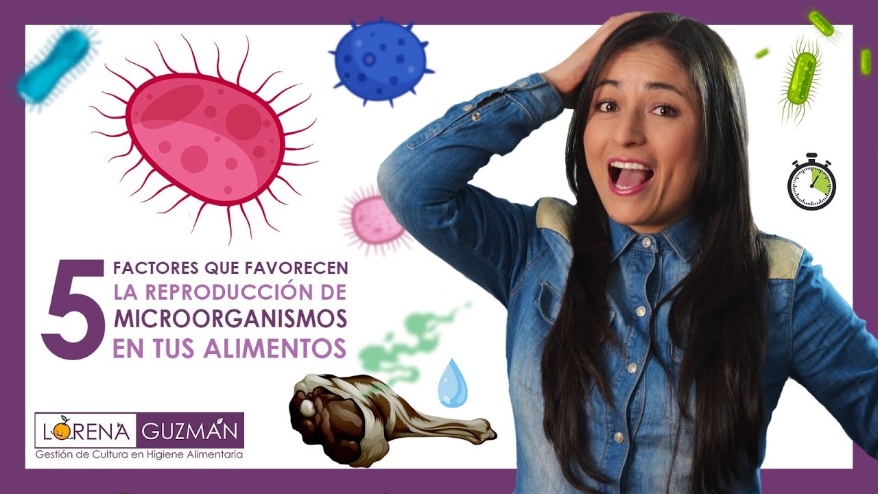 5 factores que favorecen la reproducción de los microorganismos en los alimentos 📛 🍔