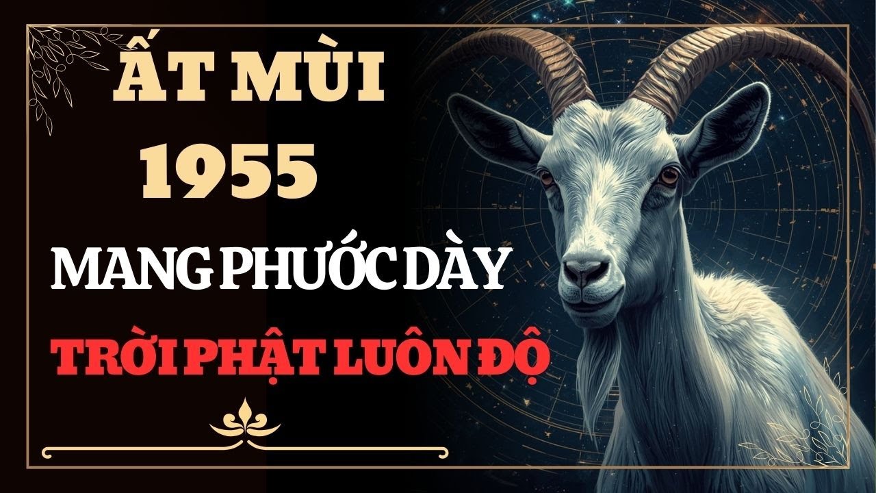Tử Vi Ất Mùi 1955: 12 Điểm Tướng Quý Báo Hiệu Người Có 