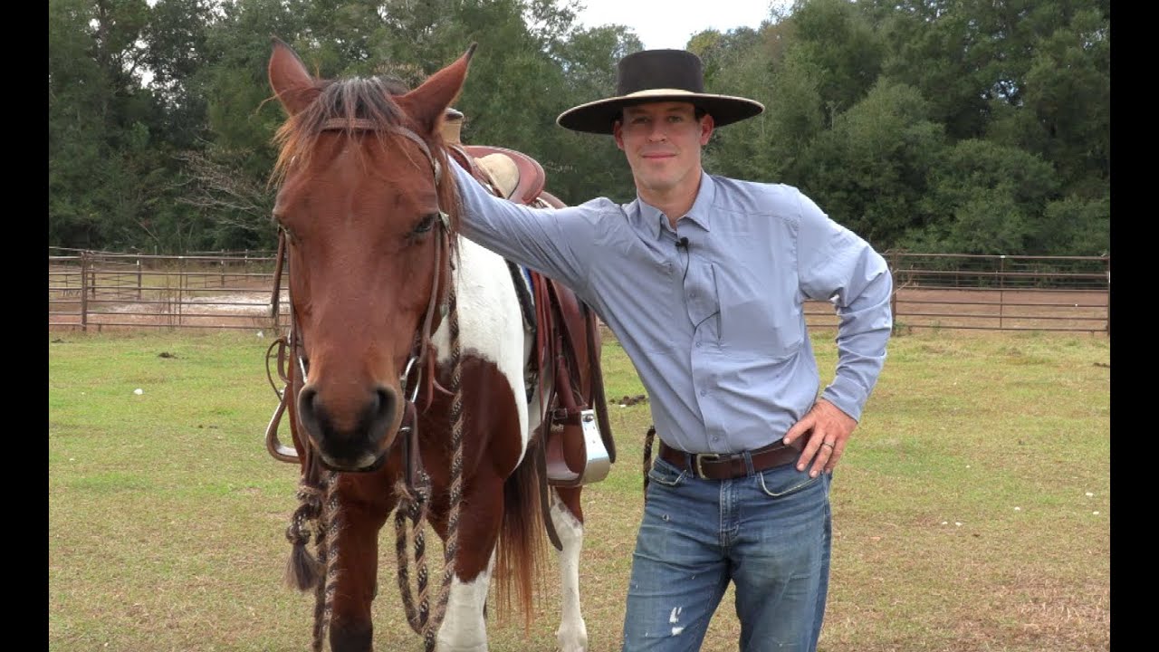 How To Use Standing Still To Get Better Unity With Your Horse