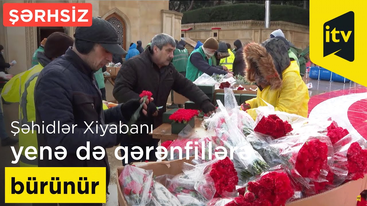Şəhidlər Xiyabanı yenə də qərənfillərə bürünür- Şərhsiz