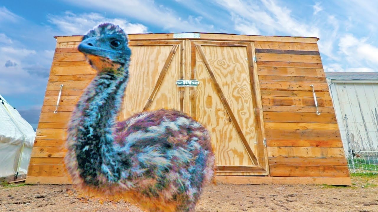the Emu Fortress