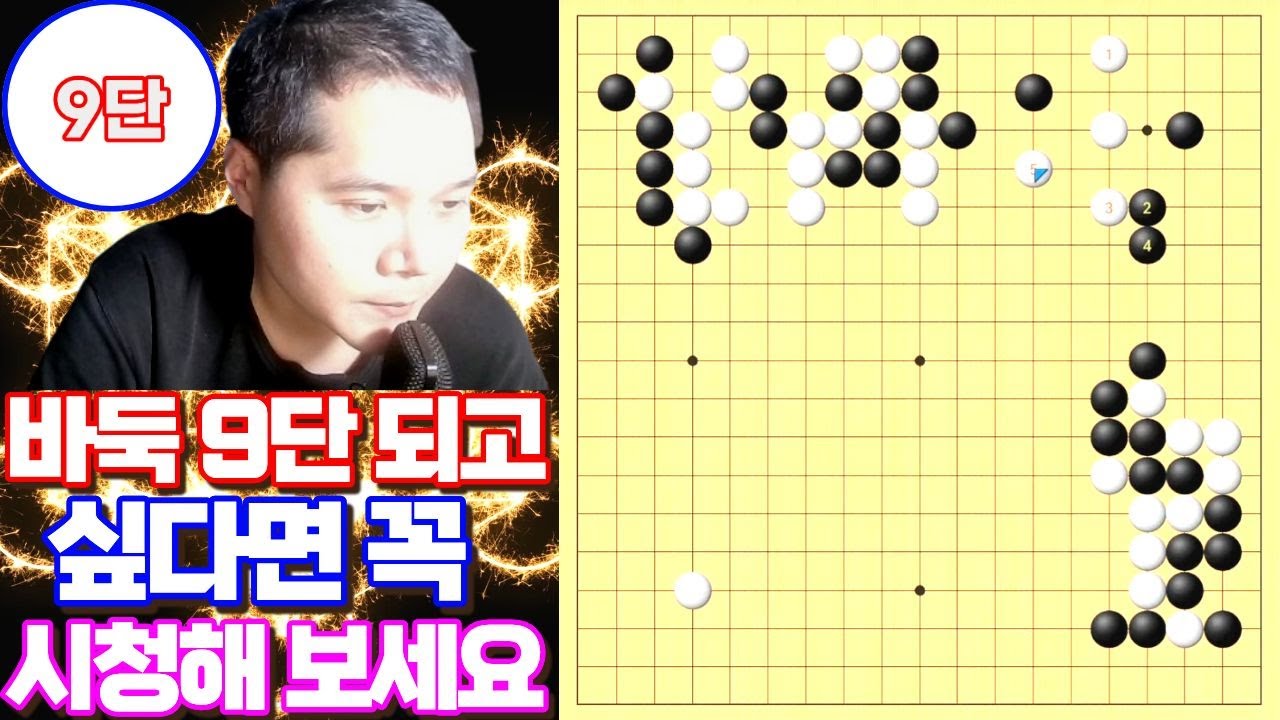 바둑 9단 되고 싶다면 꼭 보세요 반드시 기력 향상을 약속합니다.