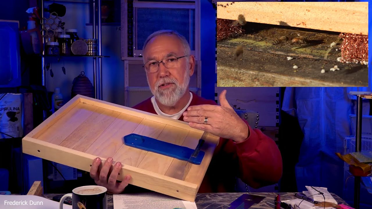 citizen science, wasp or bee robbing project and product evaluation. HyfeGate, something new!