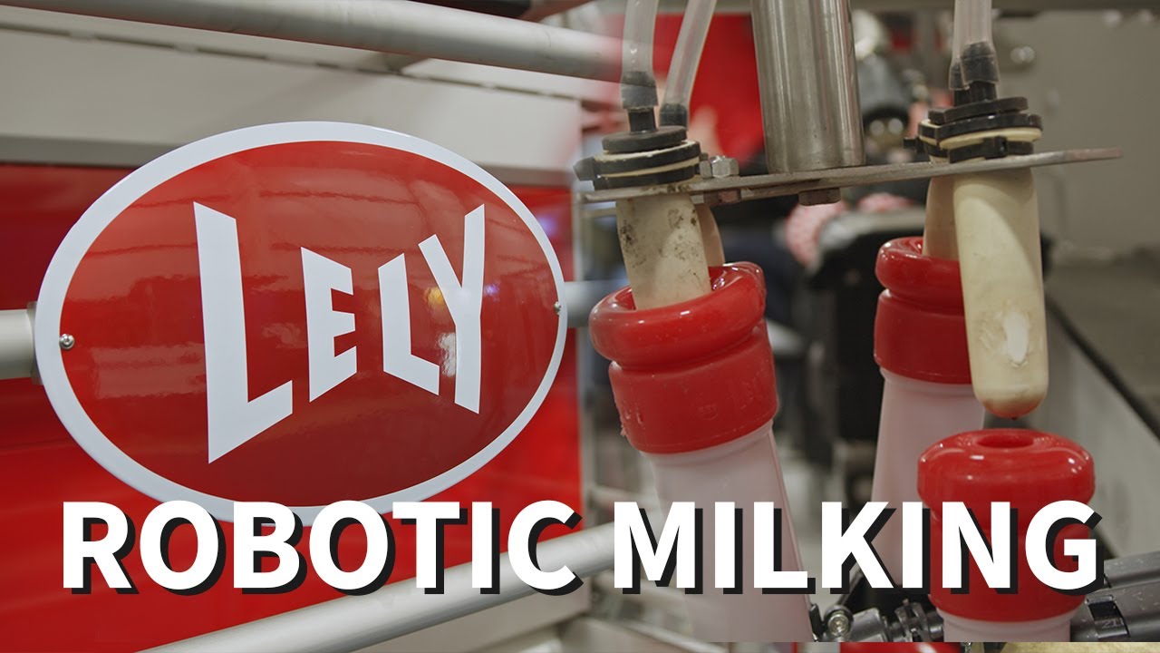Robotic Milking Technology & More Lely Innovations Featured At 2020 Pacific Agriculture Show