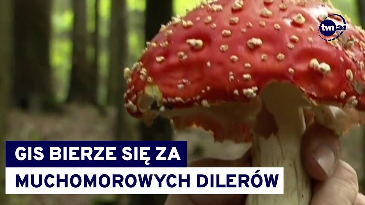 Milionowa grzywna za handel 