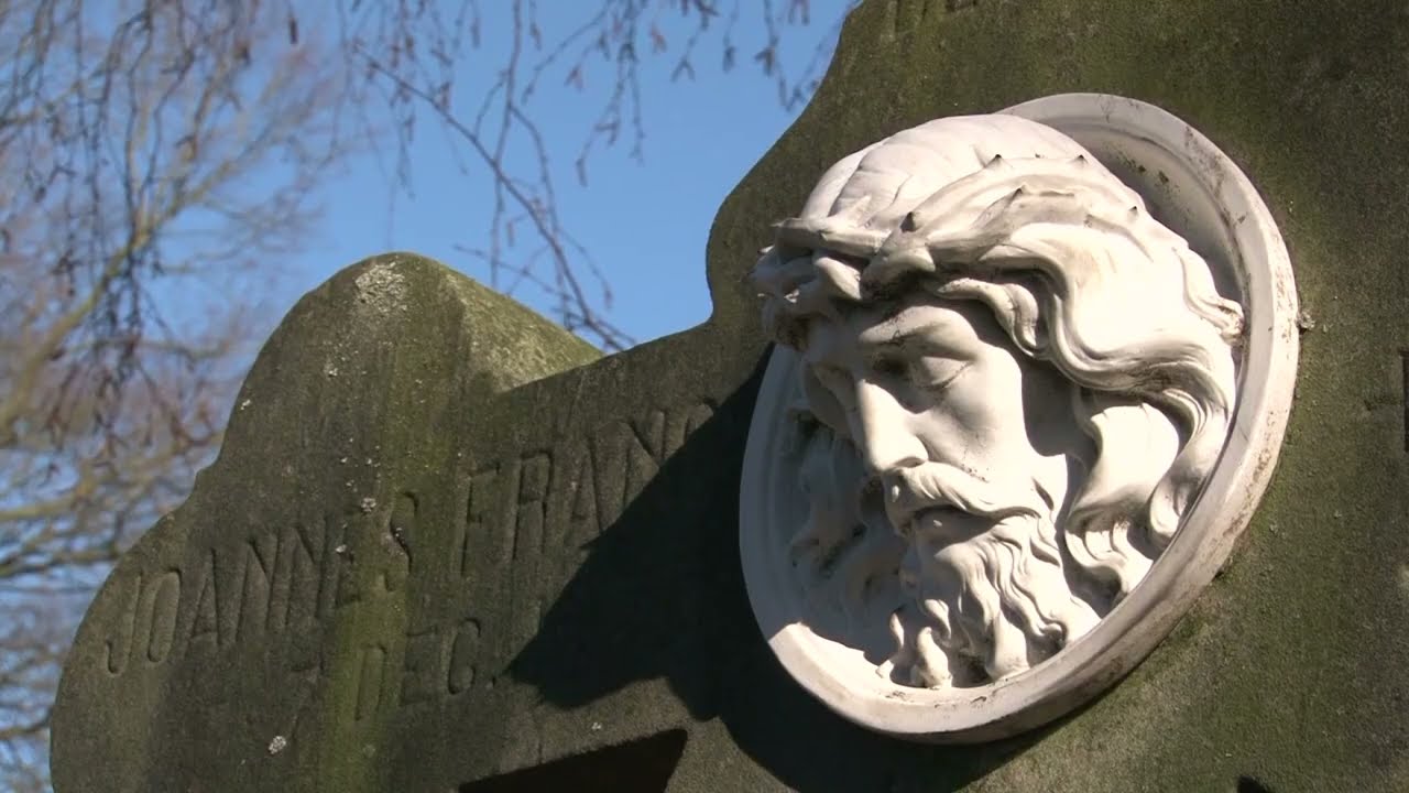 Rosendalers en hun verleden