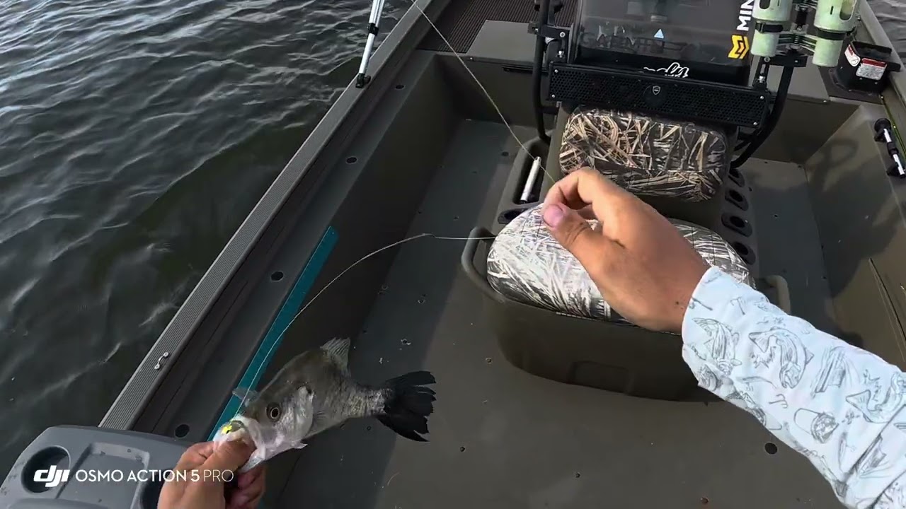 Lake Livingston Summer crappie fishing 