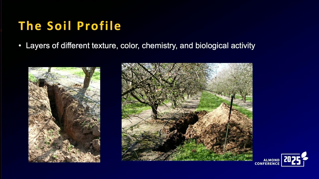Soil and Irrigation Management