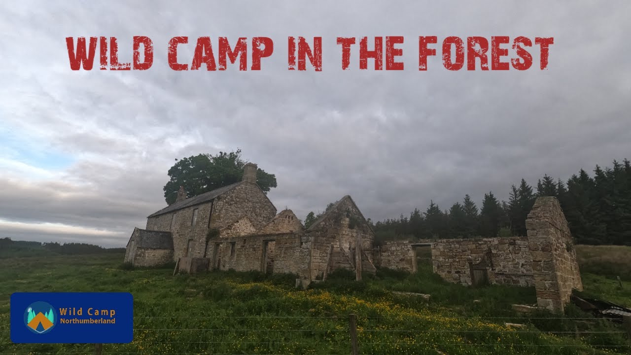 Tarp & Bivy wild camp | abandoned farm #wildcamping
