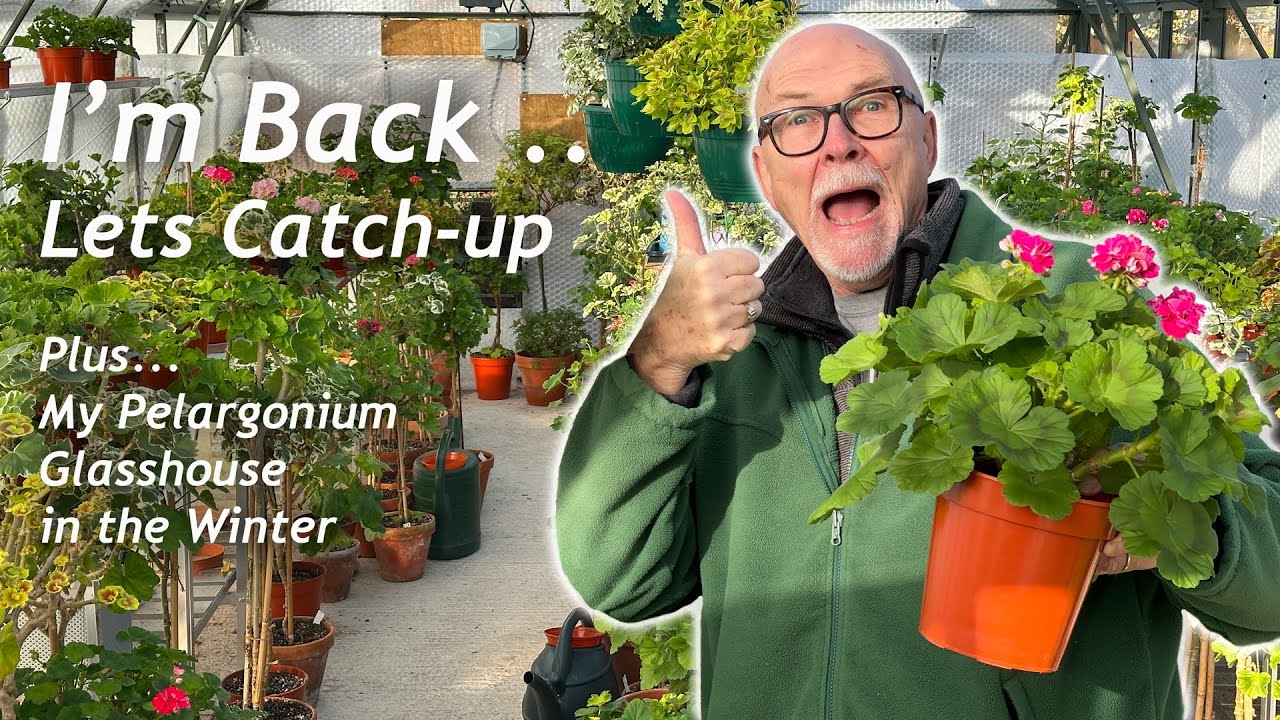 I'm Finally Back. It's a bit of a New Start. Plus a look around the Greenhouse in Mid Winter