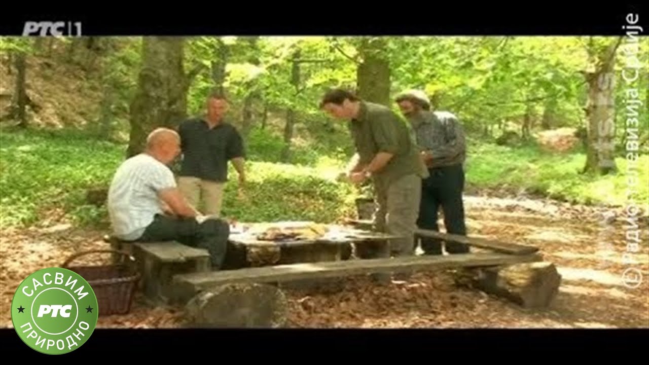 Sasvim prirodno: Besplatan ručak (Jovan Memedović)
