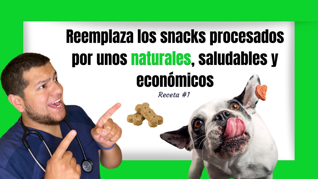 🥩  Cómo preparar un snack saludable para tu mascota en 5 minutos [TUTORIAL]