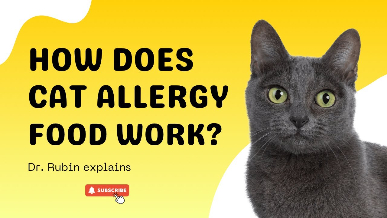 How does the cat allergy food work?