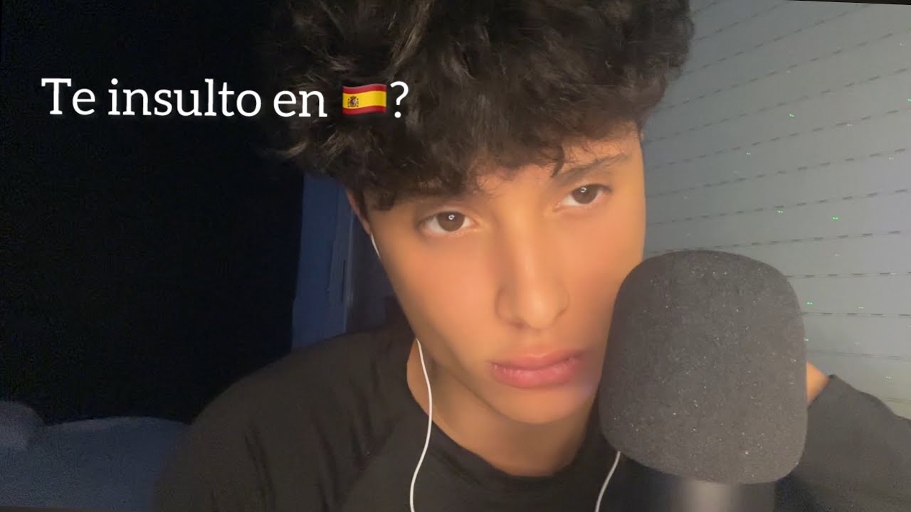 ASMR INSULTOS EN ESPAÑOL //  TE INSULTO