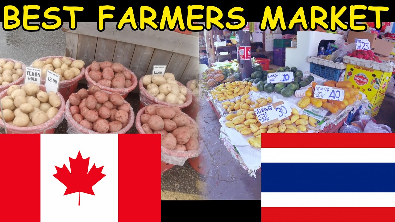 Best Farmers Market in The World? Exploring St. Jacobs Waterloo, Ontario