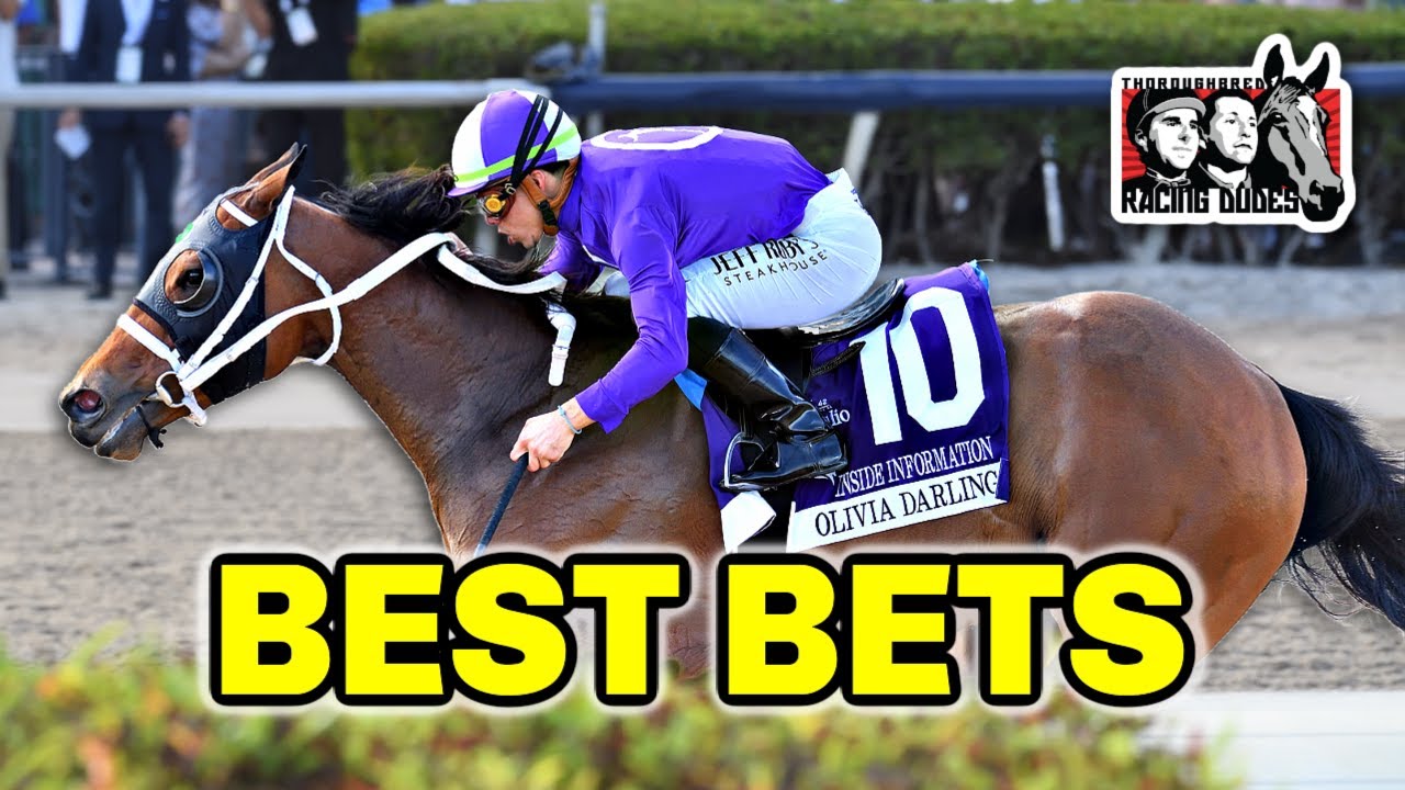 Horse Racing BEST BETS: Gulfstream Park February 3-4, 2024