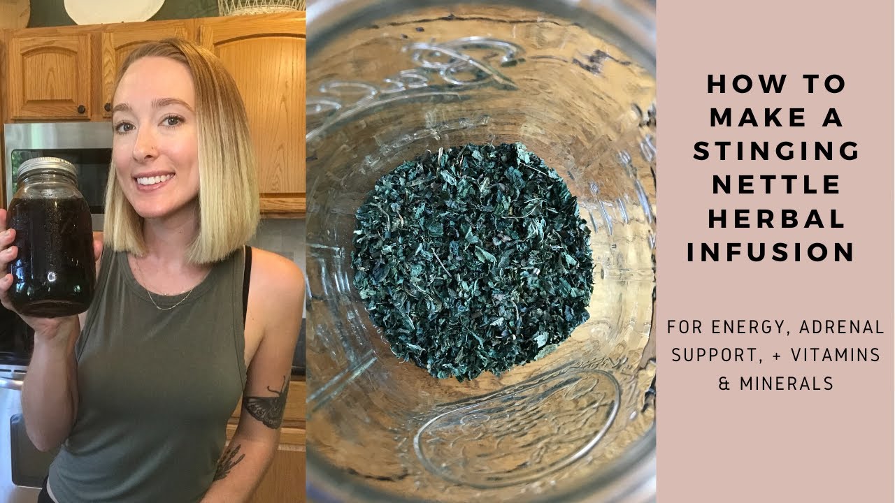 How to Make a Stinging Nettle Infusion | For Energy, Adrenal Support, + Vitamins/Minerals