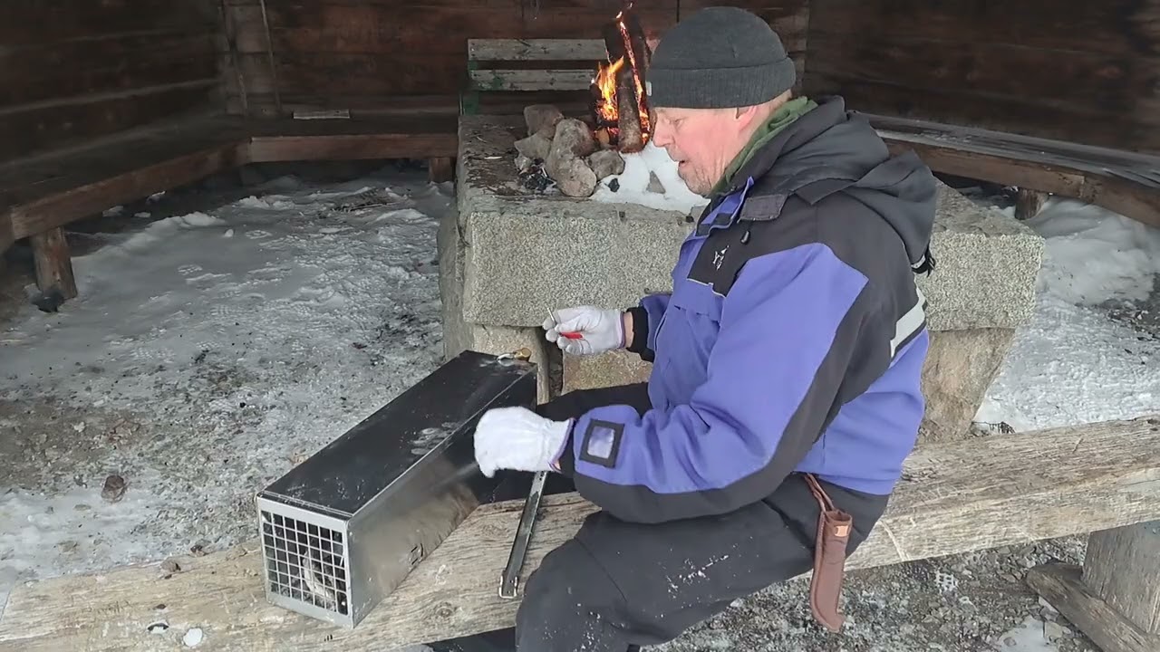 MEGA X  MINKKI / NÄÄTÄ LOUKKU.
