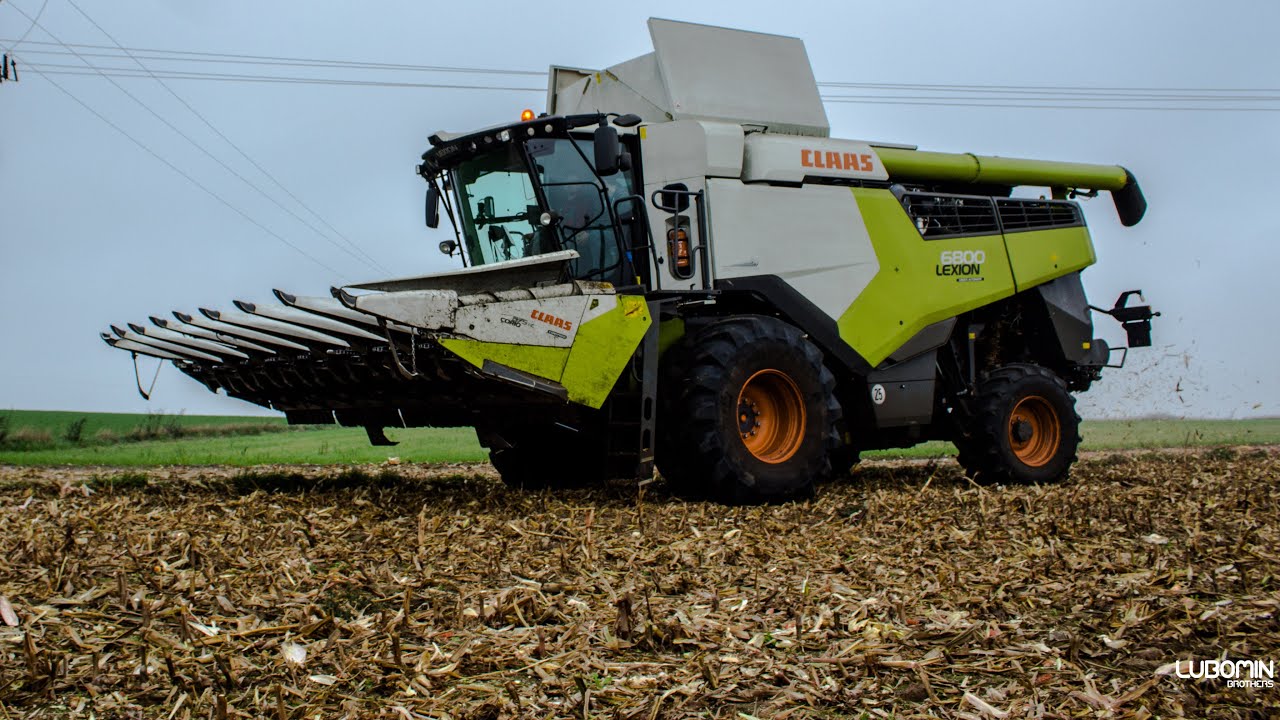 Młócenie kukurydzy #Usługi #FHU Dadzibóg #Claas #Lexion 6800