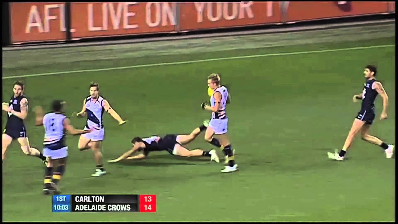 Bernie Vince's 2012 Highlights
