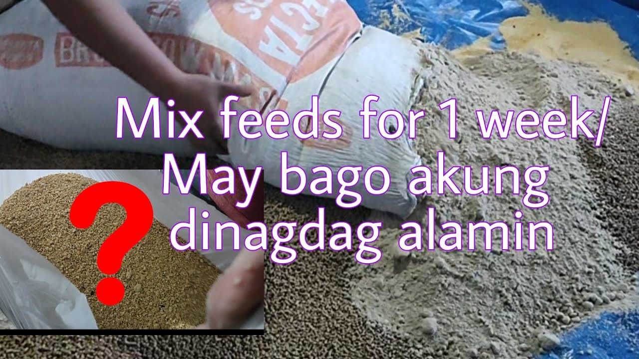 Mix feeds for 1week magkano/9th mix for 10 heads fattener for low cost feeding.