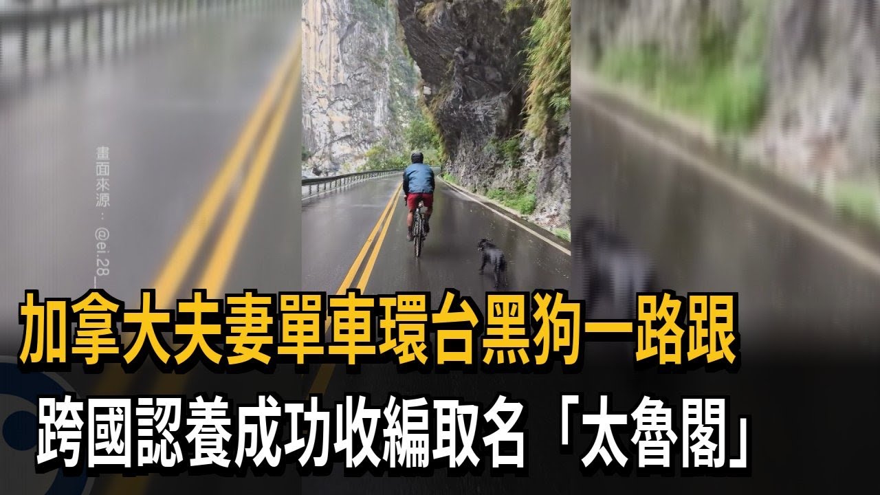 加拿大夫妻單車環台黑狗一路跟　跨國認養成功收編取名「太魯閣」－民視新聞