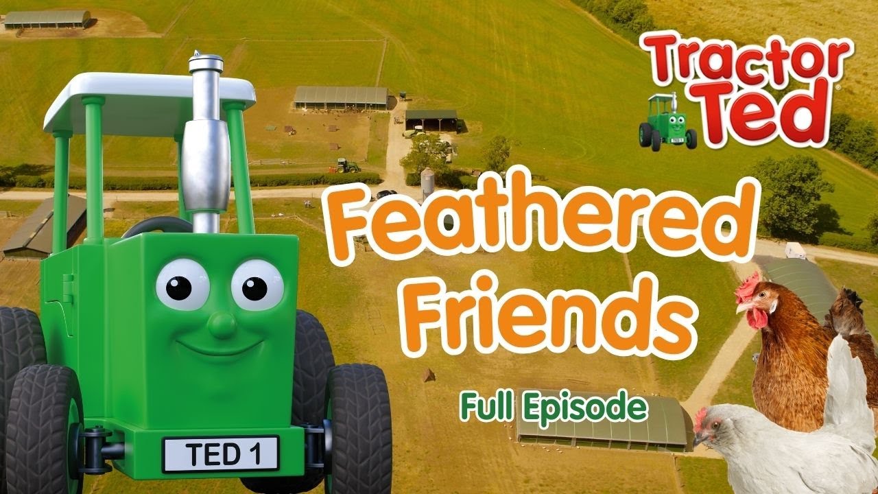 Feathered Friends 🐓 Tractor Ted Full Episode | Big Machines, Animals & Tractors For Kids