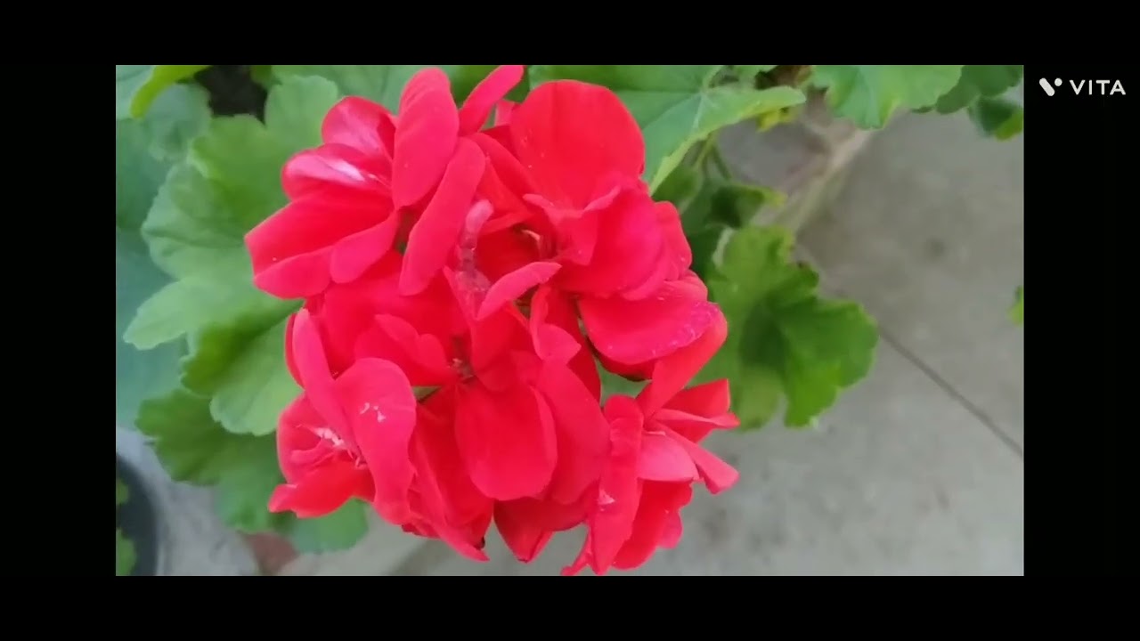 Jard&iacute;n de invierno!!
