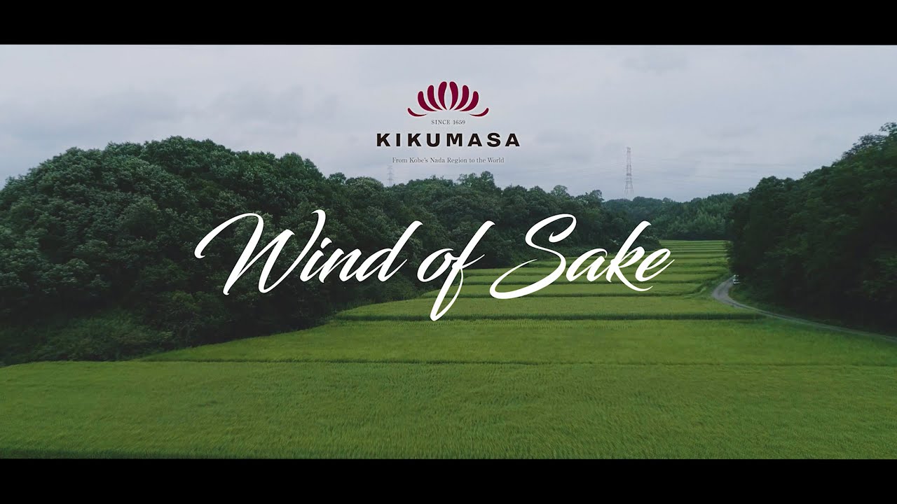 菊正宗ブランドムービー「Wind of Sake」