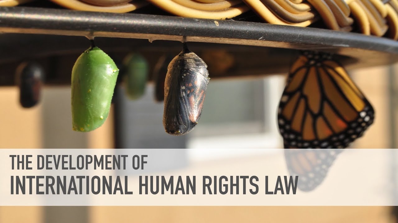 Introduction to Human Rights - The Generations of Rights