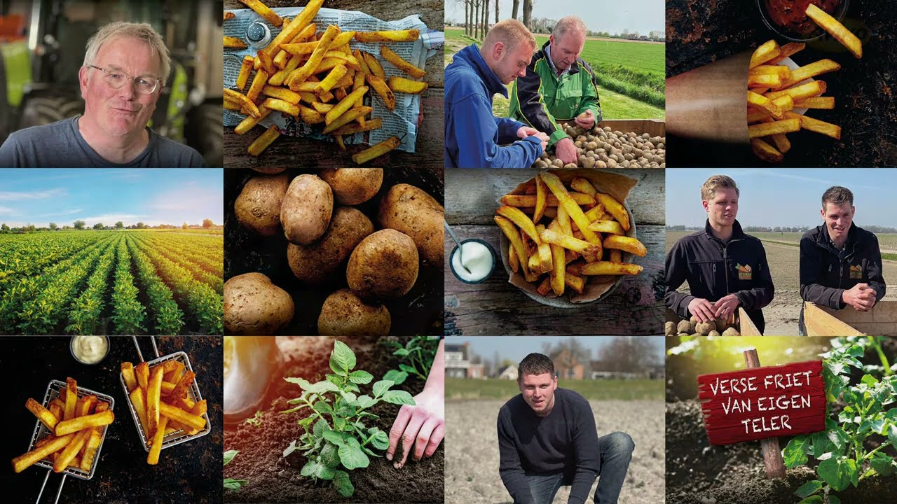 De lekkerste friet komt van eigen teelt | Aviko Oerfriet Telers