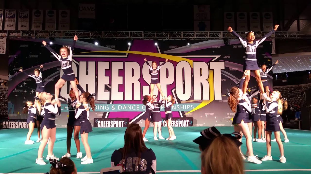 2014-2015 southaven wildcats youth level 1 fury