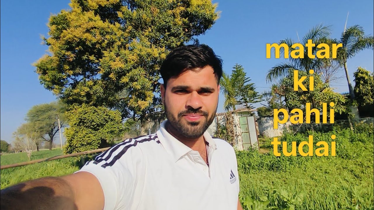Aaj se mattar🫛🫛ki tudai start kar di