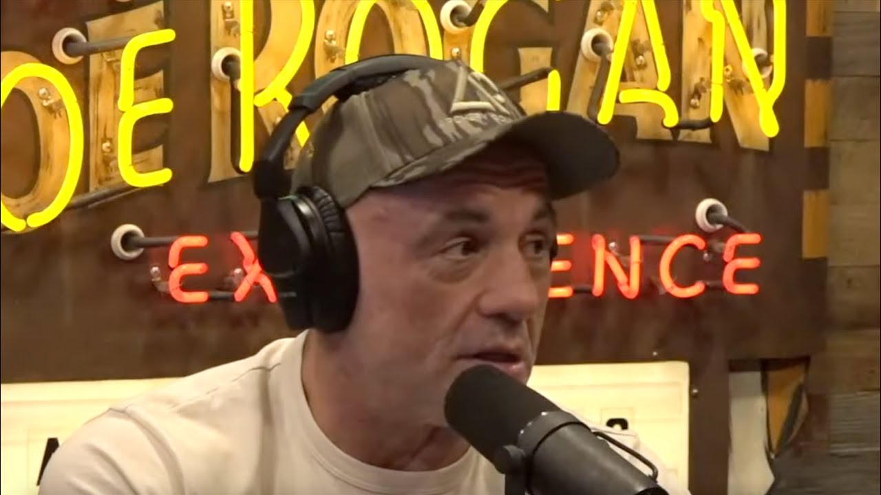 Joe Rogan On Mike Tyson Vs Floyd Mayweather