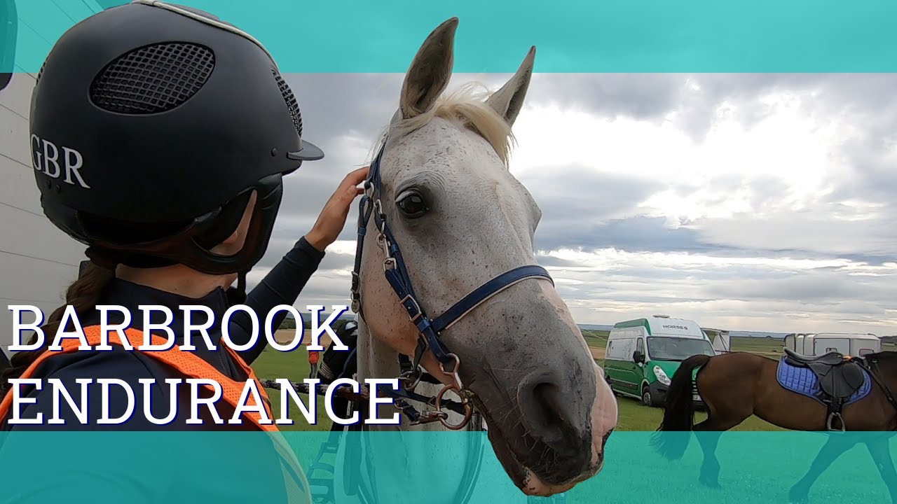 Barbrook 26km Endurance Ride - Vlog 288 - Beth Endurance