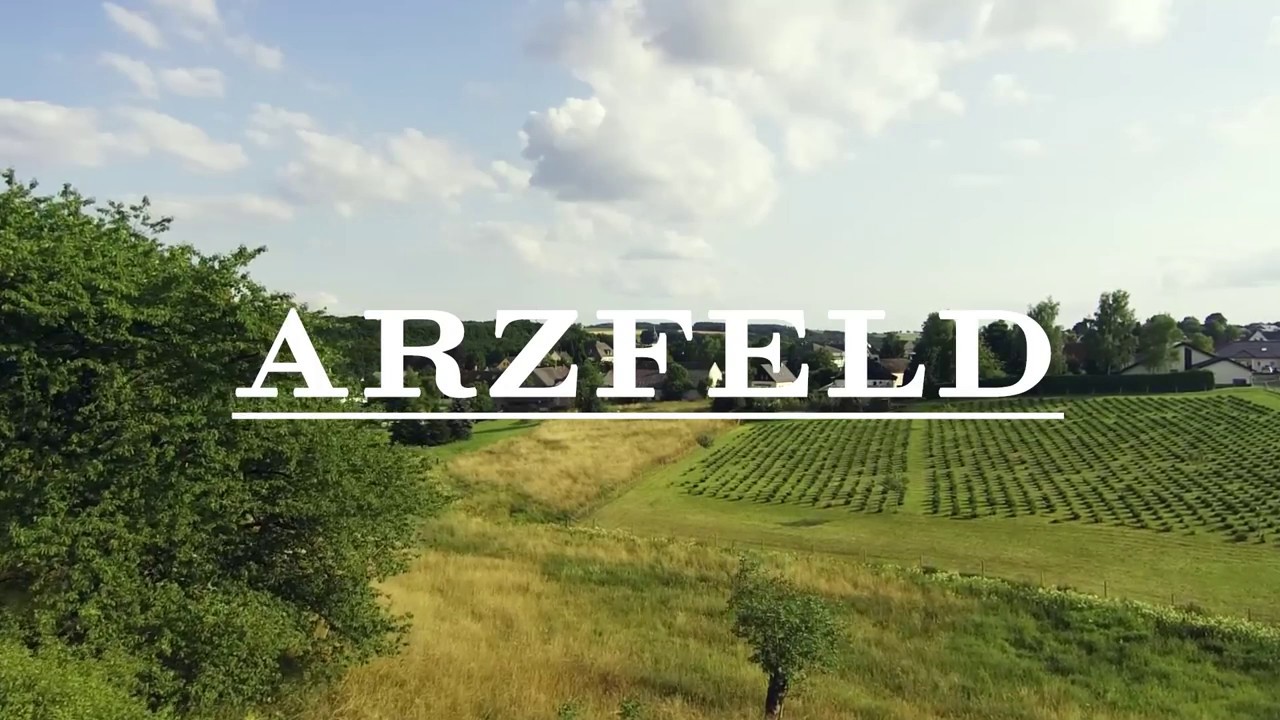 Arzfeld