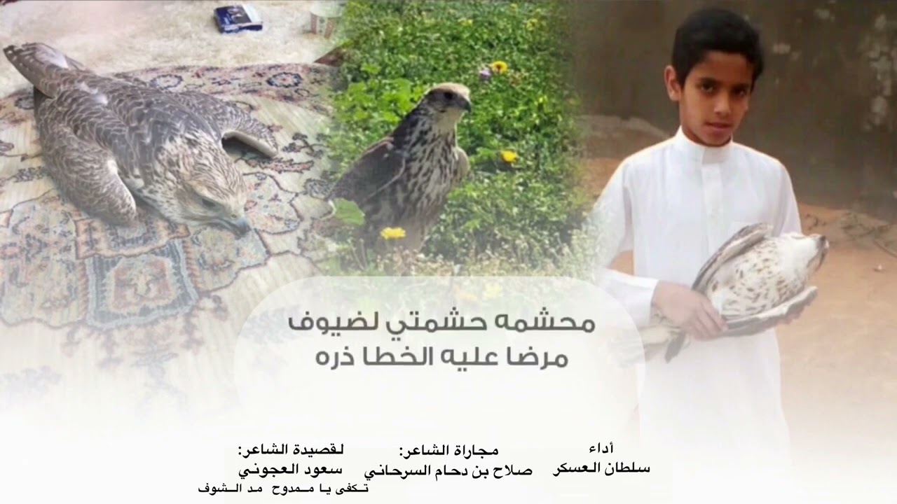 مجاراة لقصيدة تكفى ياممدوح مد الشوف