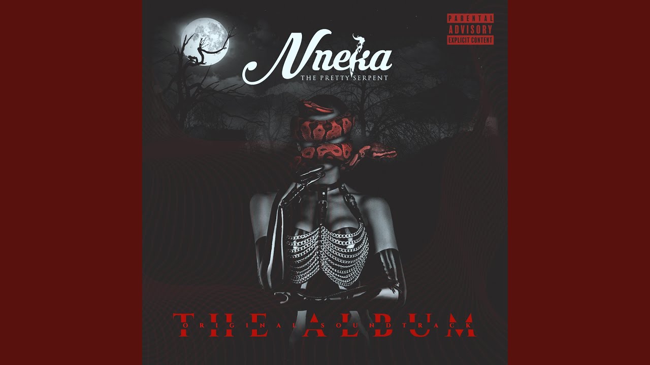 Nneka (The Soundtrack)