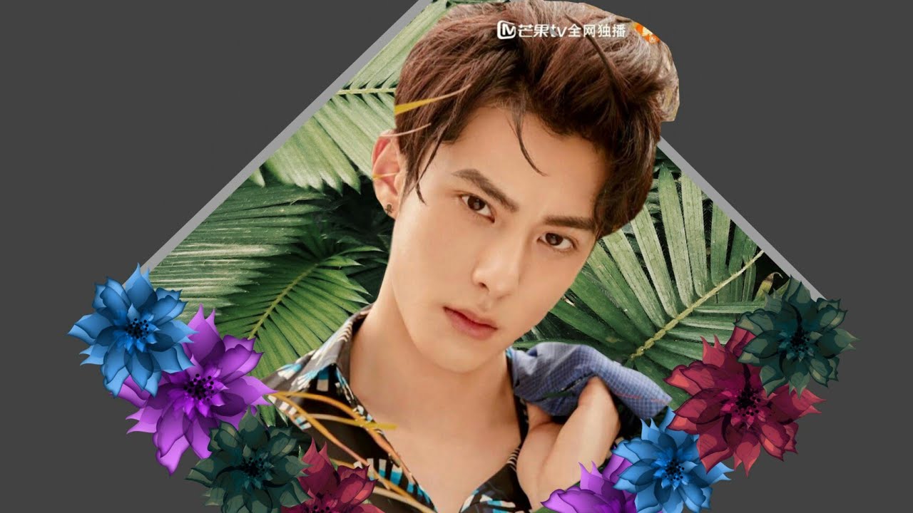 Dylan Wang Tik Tok Compilation