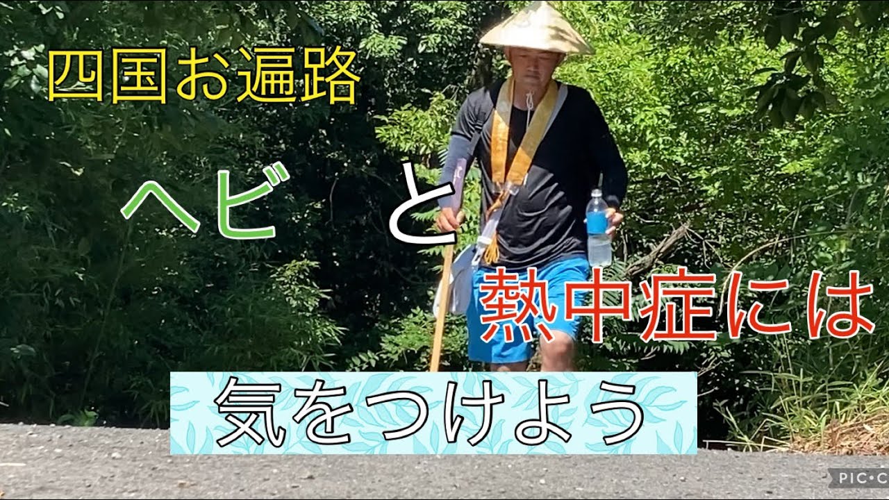 ヘビと熱中症には気をつけよう！#24