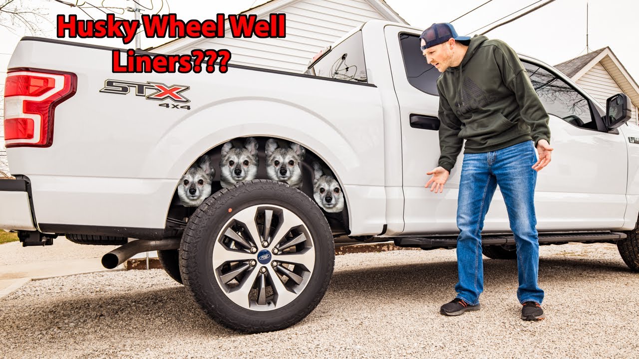 2020 F-150 Husky Wheel Liner Install