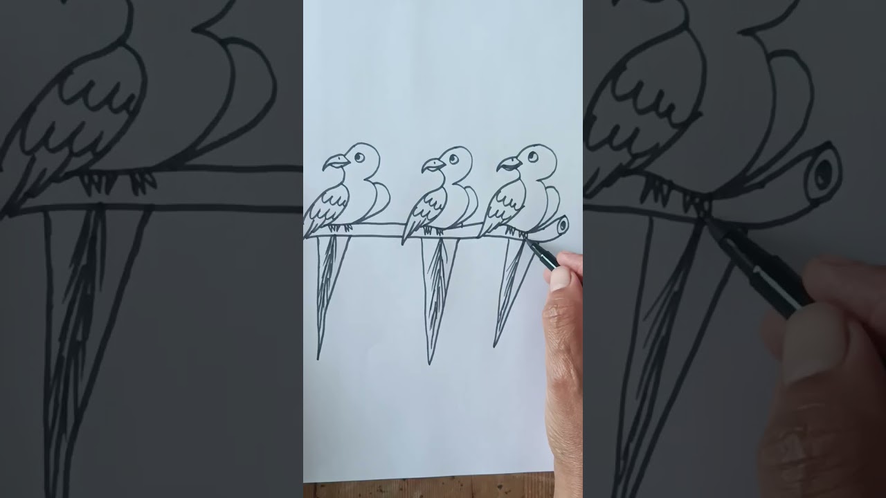 How to draw beautiful and easy birds with 333