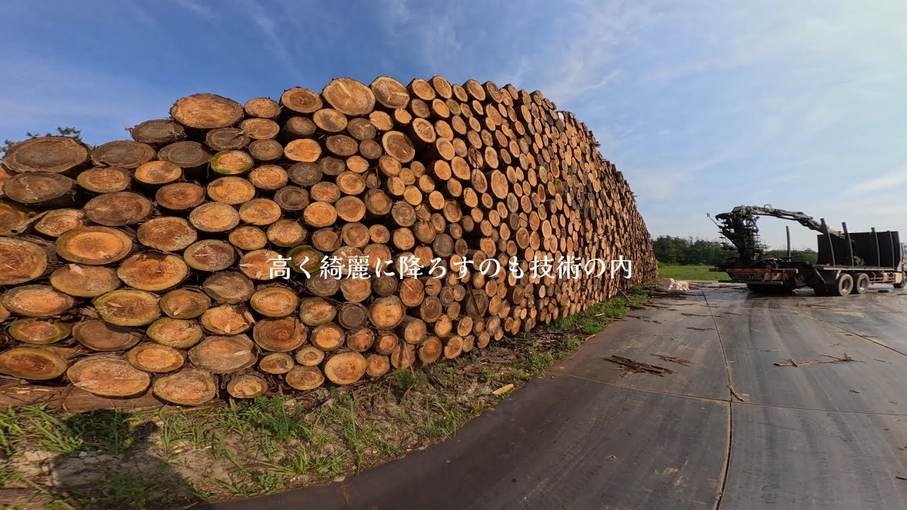 綺麗なはい積みも技術の内。｢林業トラック｣｢LogLift125z｣