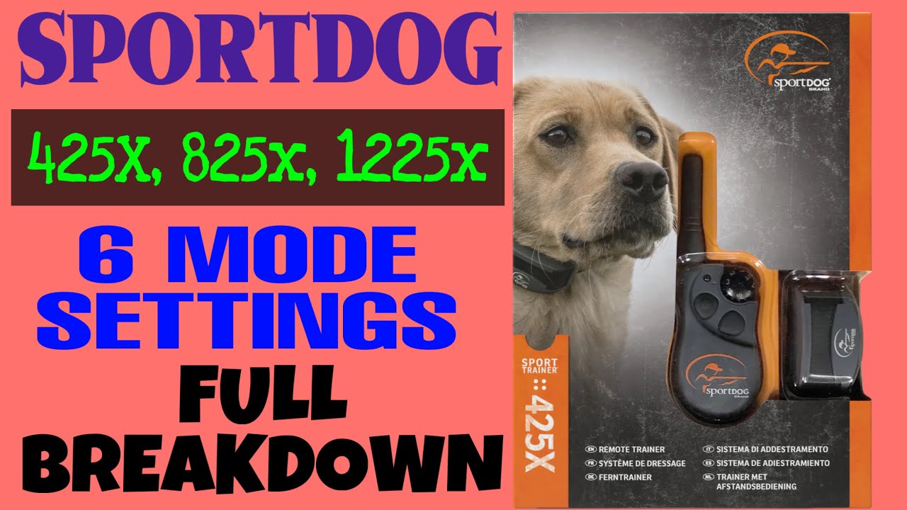 SportDog 425X. 6 РЕЖИМОВ НАСТРОЕК. Полное описание.