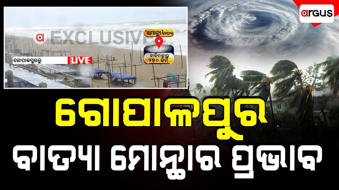 Cyclone Montha's Impact on Gopalpur | Cyclonic Storm | Argus News