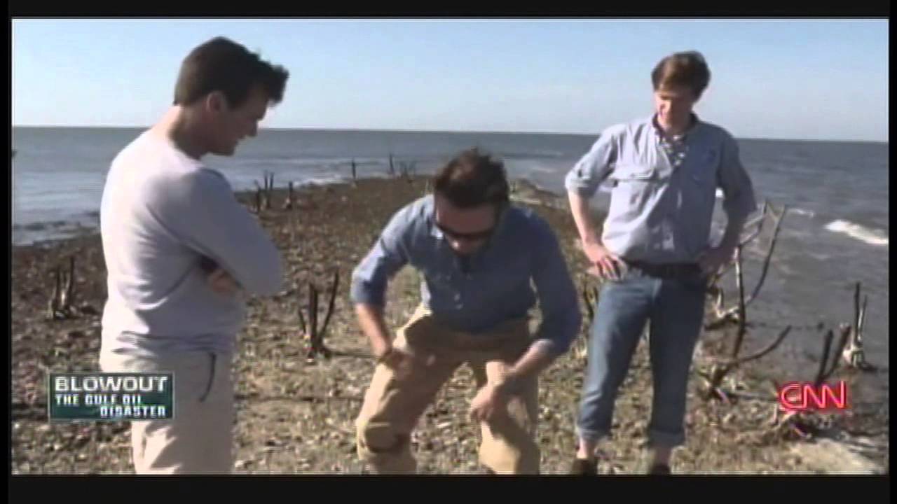 Blowout: The Gulf Oil Disaster (2015)