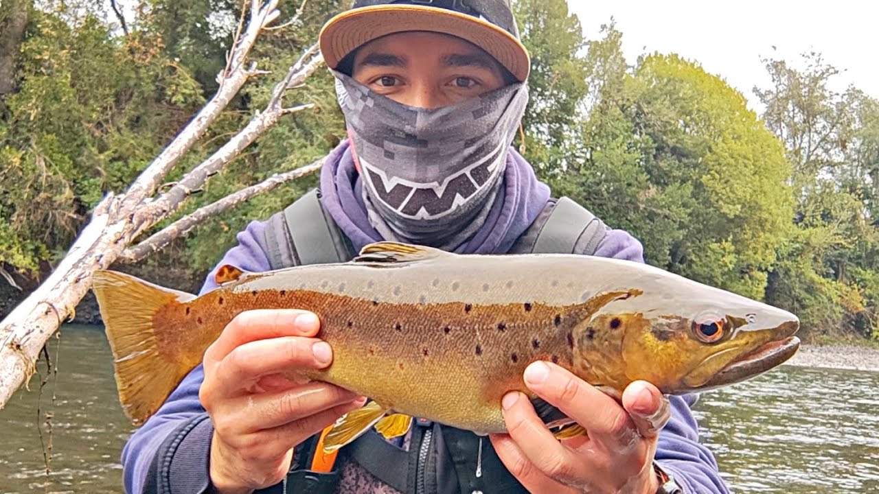 PESCA EN CHILE, estamos de vuelta al agua 🎣